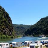 1907G 096 Rhein Loreley